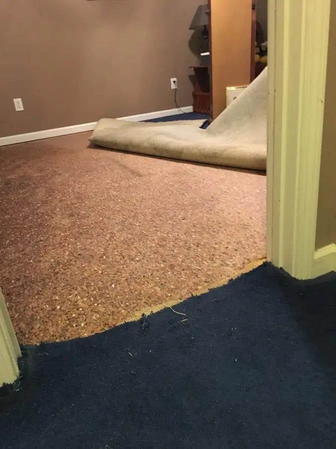Carpet pad removal revealing water damage during Water Mitigation Services in Vero Beach