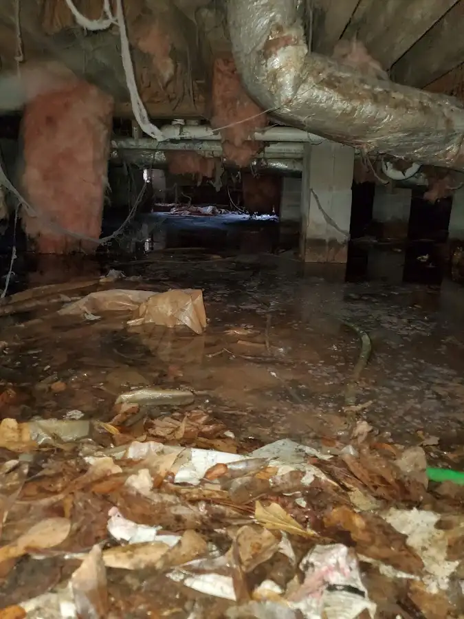 Crawl space flood assessment for Commercial Water Damage Restoration in Vero Beach